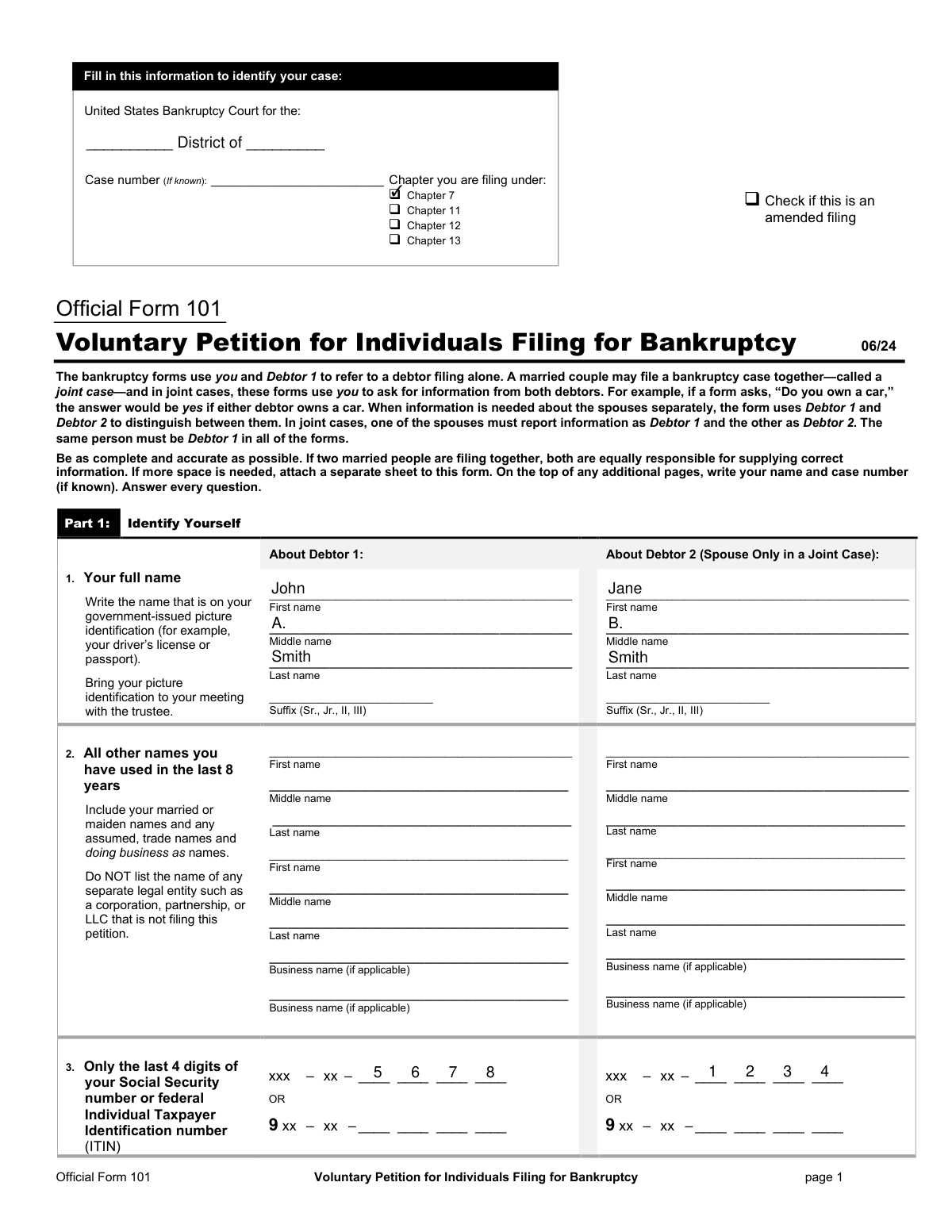 Completed Official Form 101 sample for a married couple filing a joint Chapter 7 bankruptcy petition.